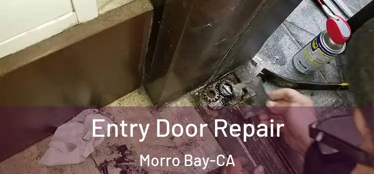  Entry Door Repair Morro Bay-CA
