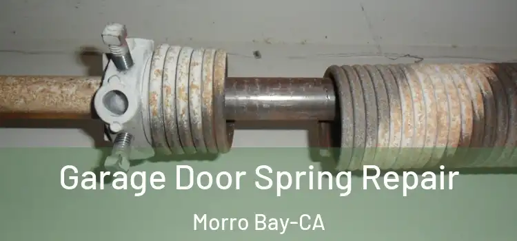 Garage Door Spring Repair Morro Bay-CA
